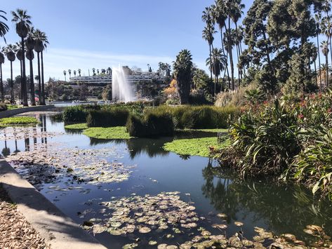 Echo Park Los Angeles, Echo Park Lake, Visit Los Angeles, Los Angeles Skyline, Los Angeles Real Estate, Mount Washington, California Love, Park Photos, Los Angeles Homes