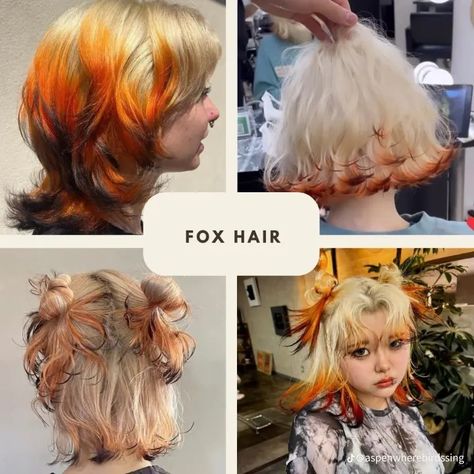 Fox Tips Hair, Fox Dyed Hair, Fox Hair Dye, Dyed Tips, Hair Dye Tips, Fox Hair, Goth Hair, Dyed Hair Inspiration, Pretty Hair Color