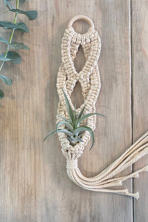 Macrame Patterns Pots & Planters, Macrame 3 Plant Hanger, Succulent Macrame Hanger, Macrame Air Plant Hanger Tutorial, Macrame Plant Propagation, Air Plant Hanger Macrame, Air Plant Macrame Hanger Diy, Macrame Air Plant Hanger Diy, Macrame Ideas Projects