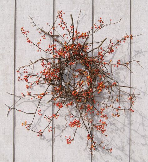 10 best Christmas wreaths to make and buy – Decorator's Notebook blog Berry Wreaths, Bittersweet Vine, Pip Berry Wreath, Autumn Celebration, Earth Craft, Sustainable Christmas, Twig Wreath, Organic Art, Garden Christmas