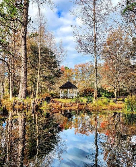 Cypress Gardens Sc, Cypress Gardens, Palmetto State, Wedding Pic, Good Ole, South Carolina, Wedding Engagement, House Styles, Travel