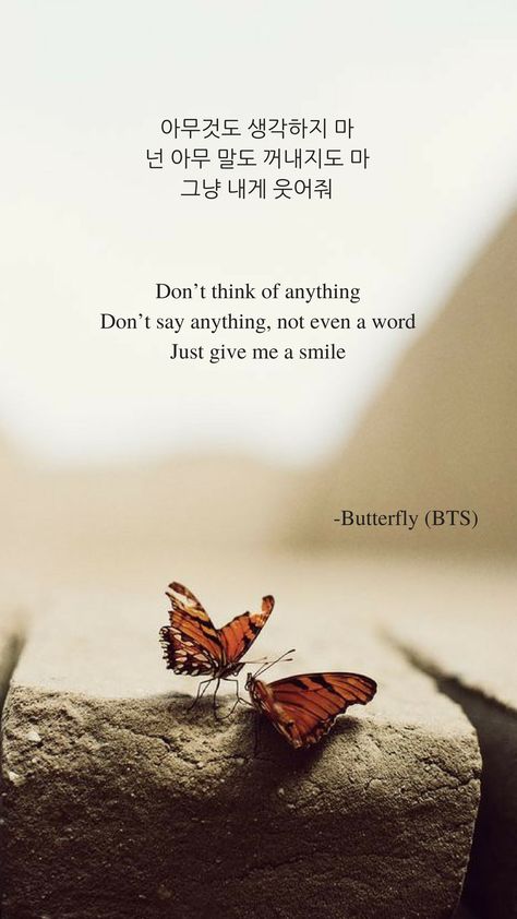 Butterfly by BTS Lyrics wallpaper. Unique Song Lyrics, Bts Lyrics Quotes Korean, Butterfly Bts Lyrics, Quotes By Bts, Bts Lyrics Aesthetic, Kpop Lyrics Quotes, Kpop Lyrics Wallpaper, Butterfly Lyrics, Butterfly Bts