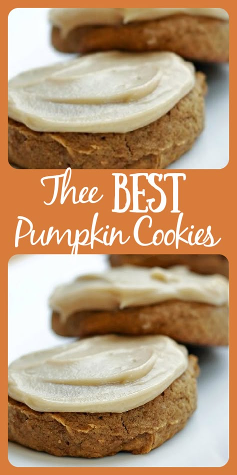 Swig Pumpkin Cookies, Cookies Made With Pumpkin Puree, Sweet Monkey Pumpkin Cookies, Spicy Pumpkin Cookies, Cake Like Pumpkin Cookies, Bisquick Pumpkin Cookies, Honey Pumpkin Cookies, Pumpkin Butter Cookie Recipe, Pumpkin Cookies No Egg