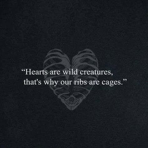 Hearts Are Wild Creatures, Romantic Literature, English Essay, Quotes Relatable, Nine To Five, Poetic Quote, Words That Describe Feelings, Fantasy Names, Soothing Quotes