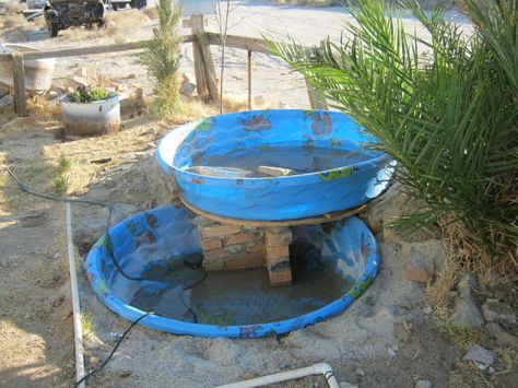 Building an Above Ground Pond | Stacked kiddie pools make waterfall fish pond. Terrific idea! Above Ground Pond, Diy Ponds Backyard, Goldfish Pond, Outdoor Ponds, Yard Furniture, Diy Pond, Diy Garden Fountains, Pond Waterfall, Pond Fountains