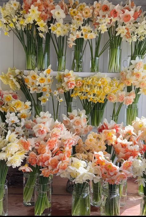 Wedding Daffodils, Daffodil Wedding Bouquet, Daffodil Bridal Bouquet, Daffodils Wedding, Daffodil Wedding, Daffodil Bouquet, Flower Aesthetics, Nothing But Flowers, Flower Therapy