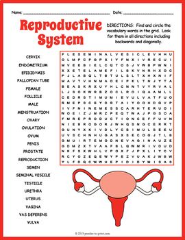 Human Reproductive System Word Search Worksheet by Puzzles to Print Reproductive System Activities, Human Reproductive System, Science Websites, Word Puzzles For Kids, Dichotomous Key, Kids Word Search, Word Search Puzzles Printables, Free Printable Word Searches, Puzzle Worksheet