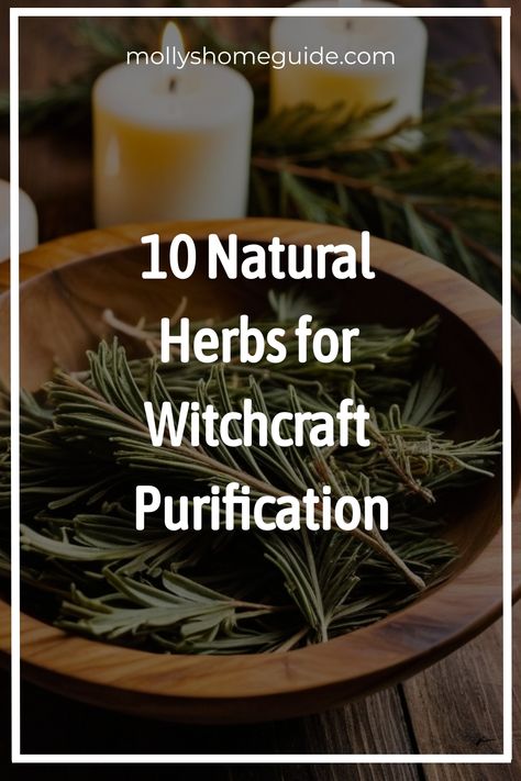 Discover the powerful properties of herbs for purification in witchcraft. Explore the magical essence of rosemary, essential oils, and other cleansing herbs. Whether you're seeking spiritual cleansing, protection, or mental clarity, these natural ingredients offer a holistic approach to purification. Embrace the practice of kitchen witchery and incorporate these energy-cleansing elements into your daily rituals. From exorcism to renewing spells, unlock the potential of herb magic in your life. Herbs For Witchcraft, Properties Of Herbs, Herb Magic, Cleansing Herbs, Cleanse Your Space, Magickal Herbs, Types Of Herbs, Energy Cleansing, Occult Books