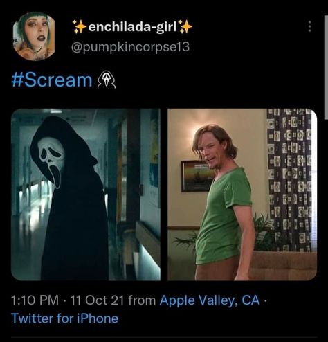 Funny Scary Movie Memes, Horror Movie Humor, Scream Movie Funny, 80s Horror Movie Memes, Funny Scream Movie Memes, Scary Movie Memes, Scream Fanart, Horror Movie Aesthetic, Horror Memes