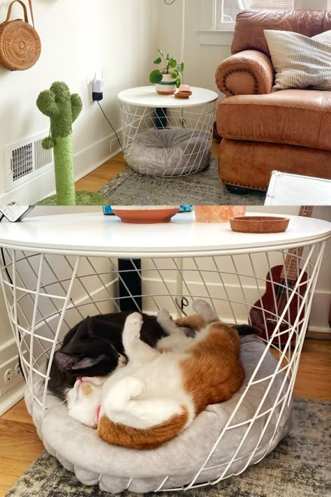 Cool Things For Your Cat, Cat Ikea Diy, Apartment With Cat Ideas, Ikea Hack Dog Bed, Cat Tree Living Room Ideas, Cat Furniture In Living Room, Room With Cats Ideas, Diy Cat Crate Ideas, Diy Pet Furniture Projects