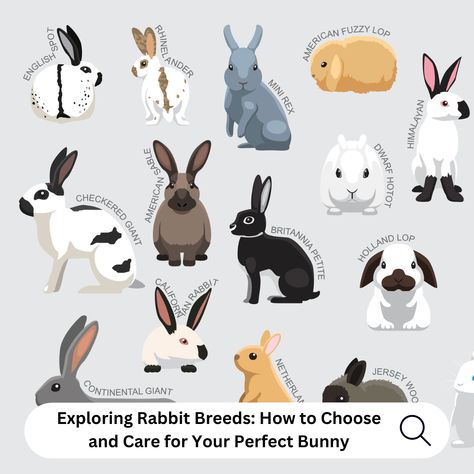 With over 50 domesticated rabbit breeds you are bound to find one that fits your household! 🐇❤️⁠ ⁠ Our latest blog helps you navigate the world of rabbit breeds, understand their care requirements, and explains why adopting from rescues is a compassionate choice. ⁠ ⁠ Click the 🔗 in bio to find your ideal bunny companion! 🏡 ⁠ Types Of Rabbits, Types Of Bunnies, Bunny Breeds, Rabbit Breeds, Rabbit Hole, Rabbits, Over 50, Adoption, Finding Yourself