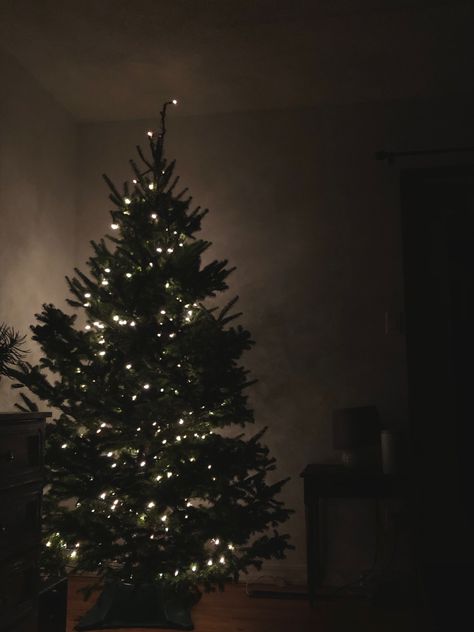 Dark Living Room, Christmas Tree Night, Dark Living Rooms, Dark Christmas, Christmas Living Rooms, Christmas Tree Lighting, Tree Lighting, Night Aesthetic, Christmas Lights