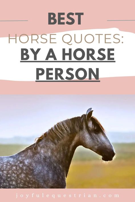 Dive into a collection of the most inspiring horse quotes! From humorous quips to profound insights, this curated list speaks to the heart of every horse lover. #HorseQuotes #EquestrianLife #HorseQuotes #EquestrianLife #HorseLovers #EquineBeauty #InspirationalQuotes #HorseBonding #EquestrianInspiration Horse People Quotes, Equine Quotes Inspiration, Heart Horse Quote, Equestrian Quotes Inspirational, Horse Quotes Meaningful Short, Horse Quotes Meaningful, Wild Horses Quotes, Funny Horse Quotes, Horse Love Quotes