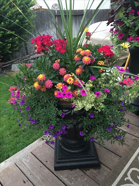 Flower Pot Arrangements Outdoor, Tall Outdoor Planters Ideas, Front Porch Flower Pots, Patio Flower Pots, Garden Planter Ideas, Front Porch Flowers, Porch Plants, Patio Flowers, Porch Flowers