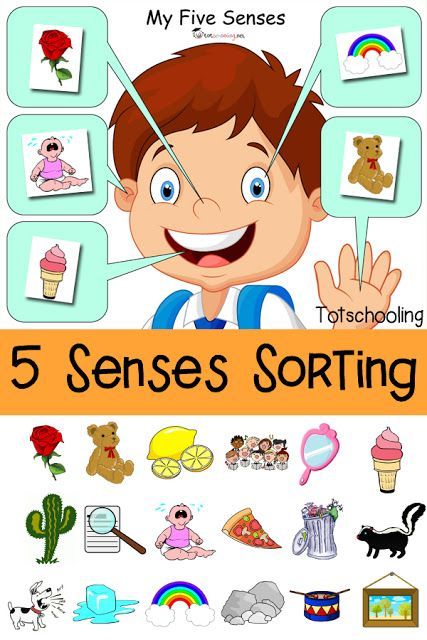 FREE printable Five Senses sorting activity for toddlers and preschoolers. Five Senses Kindergarten, 5 Senses Preschool, Five Senses Worksheet, Five Senses Preschool, 5 Senses Activities, Senses Preschool, My Five Senses, Senses Activities, The Five Senses