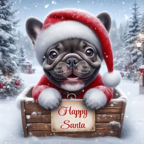 Bulldog Clipart, French Dog, Christmas Critters, French Bulldog Art, Merry Christmas Message, French Dogs, Cute Christmas Outfits, Christmas World, Christmas Dogs