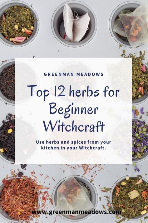 Common Witchcraft Herbs, Witchcraft Herbs And Spices, Witch Herbs And Spices, Basil For Witchcraft, Beginner Witch Herbs, Spiritual Herbs Witches, Spices For Witchcraft, Witchy Herbs And Spices, Herbs For Candle Magic