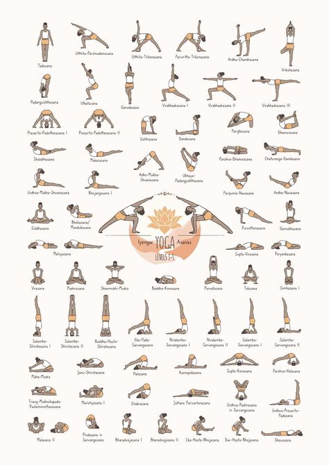 Iyengar Yoga Poses, Yoga Chart, Hand Drawn Poster, Yoga Flow Sequence, Black Lifestyle, Best Yoga Retreats, Different Types Of Meditation, Yoga Vinyasa, Yoga Inspo