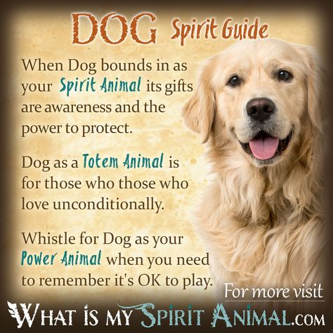 Dog Symbolism & Meaning | Spirit, Totem, & Power Animal - Pinned by The Mystic's Emporium on Etsy Dog Symbolism, What Is My Spirit Animal, Dog Spirit, Animal Totem Spirit Guides, Spirit Animal Quiz, Symbolism Meaning, Spirit Animal Meaning, Animal Meanings, Animal Quiz