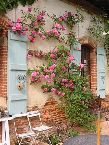 pink and blue. Mediterranean Exteriors, Pink Backyard, Mediterranean Exterior, Plants Care, Outdoor Sanctuary, Climbing Roses, Exposed Brick, Lovely Things, Outdoor Life