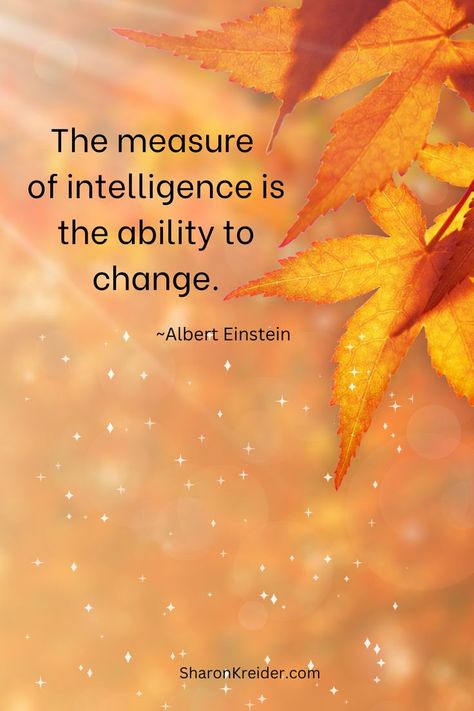 Cute Inspirational Quotes, Albert Einstein Quotes, Abraham Hicks Quotes, Einstein Quotes, Autumn Quotes, Spiritual Messages, Good Morning Inspirational Quotes, Words Worth, Morning Inspirational Quotes