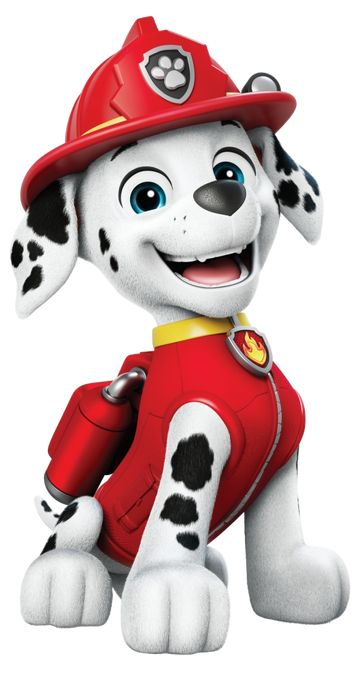 Marshall | PAW Patrol Wiki | Fandom Hear Out Characters, Hear Me Out Cartoon Characters, Marshall Paw Patrol Cake, Marshall From Paw Patrol, Paw Patrol Dogs, Paw Patrol Marshall, Save The Sea Turtles, Martial Art Uniform, Paw Patrol Chase