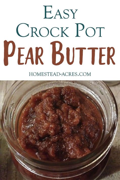 Apple Pear Butter Crockpot, Crock Pot Pear Butter Recipe, Crockpot Pear Butter Recipe, Pear Butter Crock Pot, Pear Butter Recipe Canning, Pear Butter Recipe, Canning Pears, Pear Butter, Easy Jam