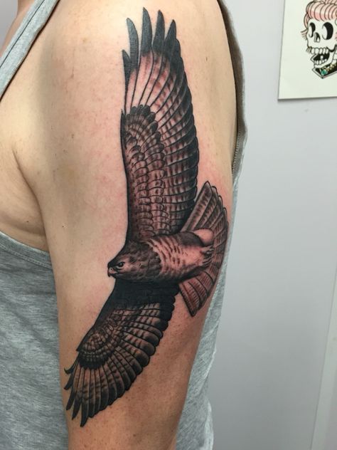 Buzzard tattoo Buzzard Tattoo, Eagle Tattoo Arm, Small Eagle Tattoo, Falcon Tattoo, Dainty Tattoo, Hawk Tattoo, Stomach Tattoo, Body Decoration, Bird Tattoos