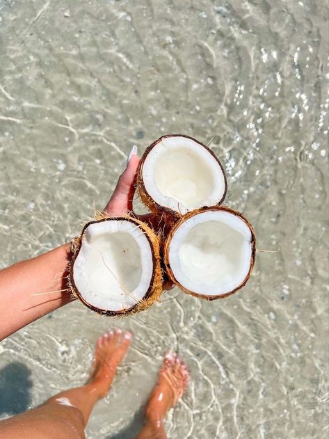 Coconuts Beach, Beachy Aesthetic, Vacation Photography, Island Life Style, Coconut Girl, Island Vibes, Summer Wallpaper, Summer Dream, Summer Photos