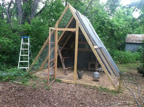 A-frame Chicken Coop | Houses 12 full time birds or 60 free … | Flickr Building Chicken Coop, Chicken House Plans, A Frame Chicken Coop, Chicken Coop Blueprints, Cheap Chicken Coops, Small Chicken Coops, Easy Chicken Coop, Chicken Pen, Portable Chicken Coop