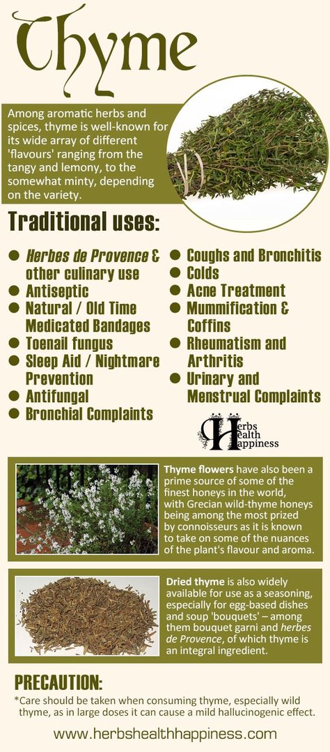 Thyme Benefits Of Thyme, Thyme Uses, Thyme Flower, Thyme Oil, Healing Plants, Herbs De Provence, Culinary Herbs, Cough Remedies, Aromatic Herbs