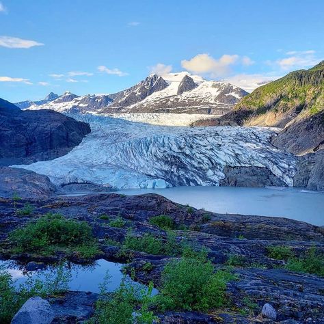 Mendenhall Glacier Mendenhall Glacier, Alaska Winter, Tongass National Forest, Alaska Adventures, Visit Alaska, Visit Places, Visit Usa, Alaska Travel, Forest Service