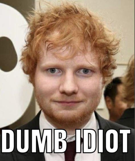 Ed Sherman, Wenis Man, Ed Sheeran Memes, Ed Sheeran Facts, Ed Sheeran Love, So Sorry, Fb Memes, Ed Sheeran, Funny Me