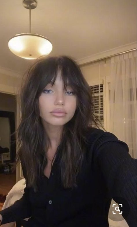 Brunette Hair Wispy Bangs, Dark Fringe Hairstyles, Dark Layered Hair With Bangs, Long Brown Hair Fringe, Dark Brown Hair Round Face, Brunette Fall Hair 2023 Bangs, Medium Length Dark Hair With Curtain Bangs, Dark Brown Fringe Hair, Long Layers W Bangs