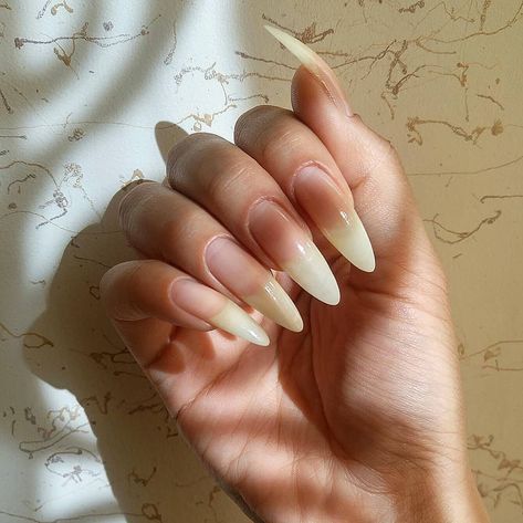 Real Long Nails, Nail Story, Vampire Nails, Long Natural Nails, Classy Acrylic, Witchy Nails, Sharp Nails, Gel Toe Nails, Claw Nails