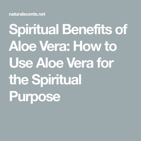 Plant Symbolism, Plant Meanings, Medicine Recipes, Benefits Of Aloe Vera, Aloe Vera Powder, Herbal Medicine Recipes, Vetiver Oil, Plant Benefits, Magic Herbs