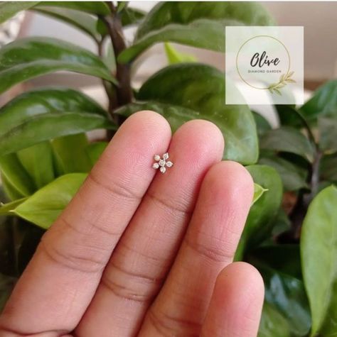 Nosepin Design, Nose Pin Designs, Gold Earrings Studs Simple, Diamond Nosepin, Nose Pin Indian, Minimalist Accessories Jewellery, Small Nose Studs, Nose Ring Designs, Simplistic Jewelry