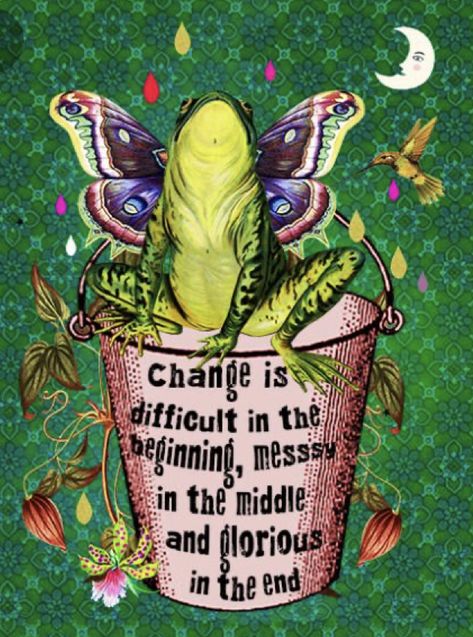 Kambo Frog Medicine, Frog Medicine, Kambo Frog, Frog Totem, Medicine Quotes, Camping Kettle, One Of One, The Hardest Part, Frog Art