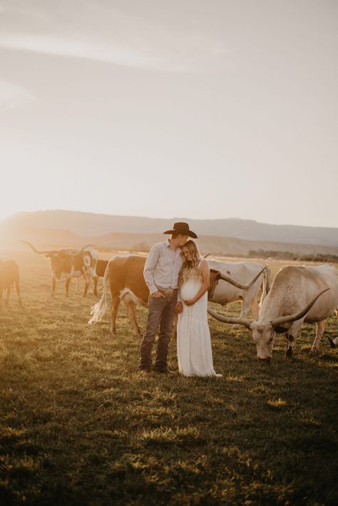 Western maternity photos with longhorns western couple cows cattle long horns western photoshoot ideas Maternity Pictures With Longhorn, Country Couple Maternity Pictures, Cattle Couple Photoshoot, Western Outfit Maternity, Ranch Maternity Photoshoot, Wedding Photos With Cows, Western Fall Maternity Pictures, Cow Field Photoshoot, Cattle Family Pictures