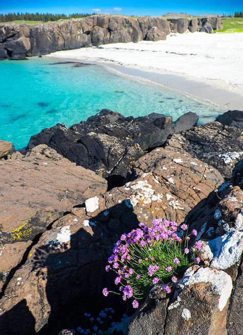 10 of Scotland’s most magical white sand beaches - Country Life Scottish Isles, Clan Campbell, Beautiful Scotland, Scotland Road Trip, Isle Of Mull, White Sand Beaches, Stunning Scenery, Scotland Castles, Pretty Beach