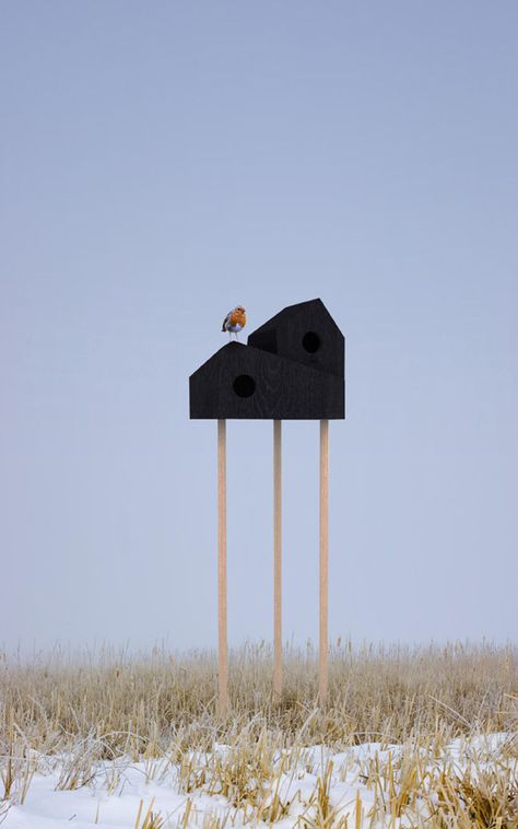 Birds House, Modern Birdhouses, Black Houses, Living Modern, Bird Boxes, Visitor Center, Taos, Bird Feeder, Little Houses