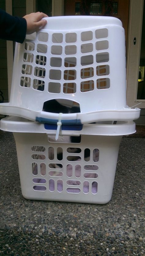 DIY Cat Carrier- very simple- two large laundry baskets, 8 zipties, blankets/towels and a set of pliers Diy Cat Basket, Diy Pet Carrier, Cat Carrier Diy, Diy Laundry Basket, Cat Advice, Adopt A Cat, Pet Bunny Rabbits, Cat Houses, Pet Tips