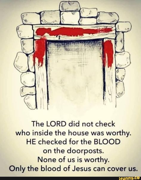 Vertrouw Op God, Exodus 12, The Blood Of Jesus, Blood Of Jesus, Bible Facts, Bible Knowledge, Bible Truth, Bible Quotes Prayer, Bible Prayers