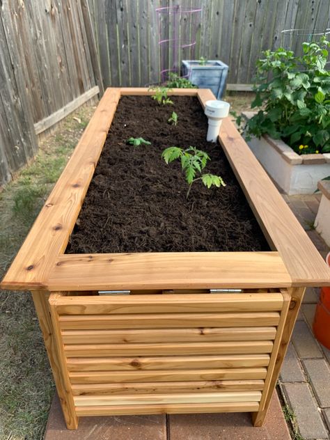 Vegetable Planter Boxes, Diy Raised Planter, Watering Raised Garden Beds, Diy Self Watering Planter, Diy Self Watering, Decking Garden, Planter Box Plans, Cedar Raised Garden Beds, Raised Garden Bed Plans