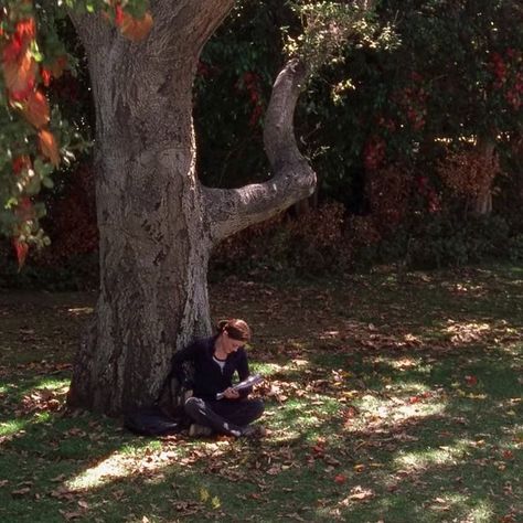 Timothy Green, Fall Semester, Season Of The Witch, Fall Inspo, Reading A Book, Rory Gilmore, Best Seasons, Autumn Cozy, Autumn Aesthetic