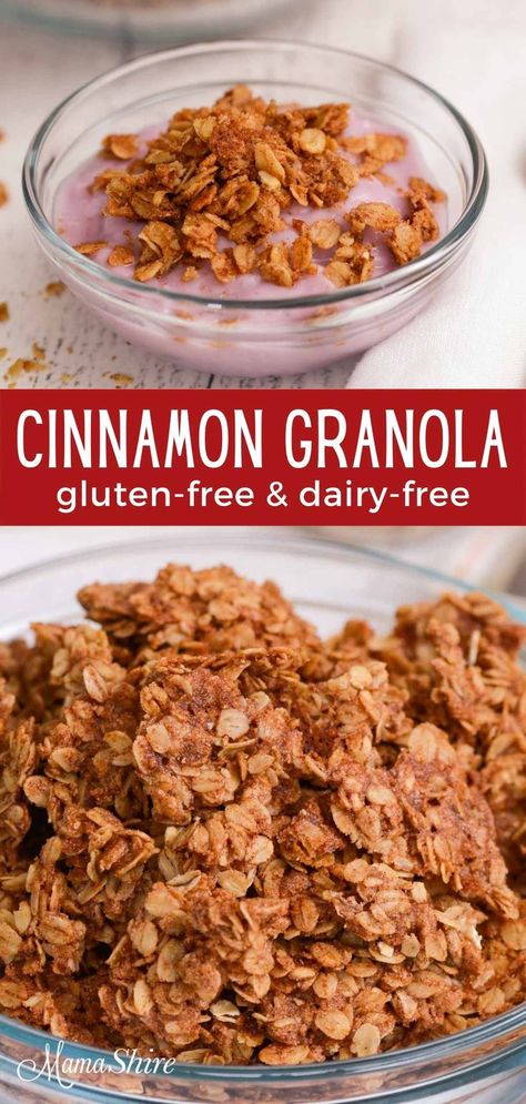 Healthy Cinnamon Granola, Honey Cinnamon Granola, Cinnamon Granola Recipe Healthy, Granola Recipe Without Honey, Homemade Cinnamon Granola, Granola Recipe With Quick Oats, Granola Recipe Cinnamon, Gluten Free Dairy Free Granola, Chunky Granola Recipe