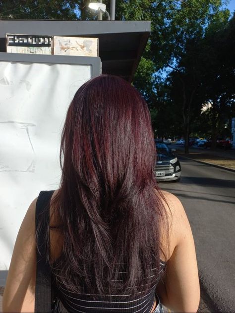 Dark Red Hair On Brunettes, Dark Red Velvet Hair, Asian Cherry Red Hair, Dark Red Asian Hair, Burgundy Hair Asian, Berry Brown Hair Color, Dark Cherry Coke Hair Color, Cherry Black Hair Color, Reddish Black Hair