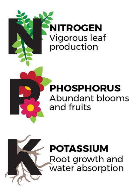 NPK Infographic Npk Fertilizer, Sky Nursery, Plants Care, Garden Remedies, Small Vegetable Gardens, Plant Care Houseplant, Plant Nutrients, Backyard Vegetable Gardens, Astuces Diy