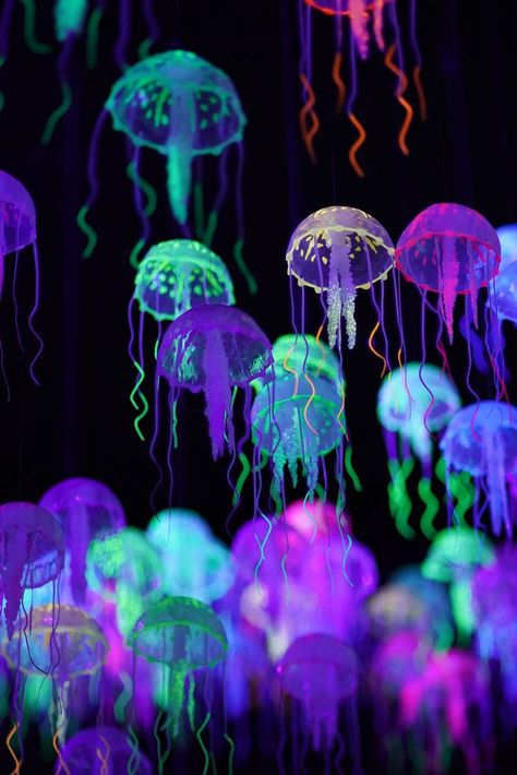 Jellyfish Wall Art, Dance Wall Art, Colorful Jellyfish, Best Iphone Wallpapers, Screen Saver, Glass Printing, Wallpaper Free Download, Over The Rainbow, Neon Colors