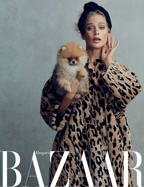 Studio Fashion Photography, Diy Outfits, Carolyn Murphy, Dog Photoshoot, Leopard Fashion, Dog Modeling, Hip Hop Outfits, Harper’s Bazaar, Dog Photography